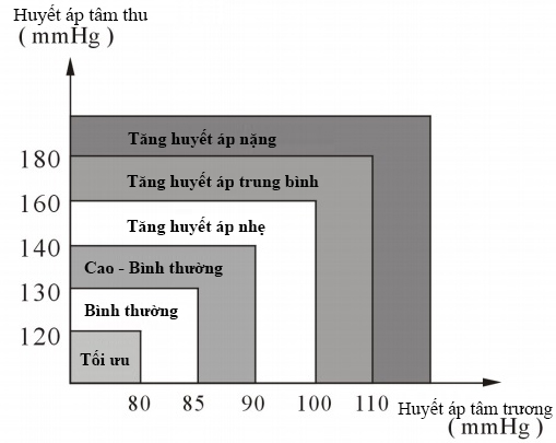 Máy đo huyết áp điện tử bắp tay MediUSA | UB-A806
