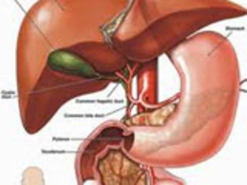 Những điều cần biết về viêm gan B