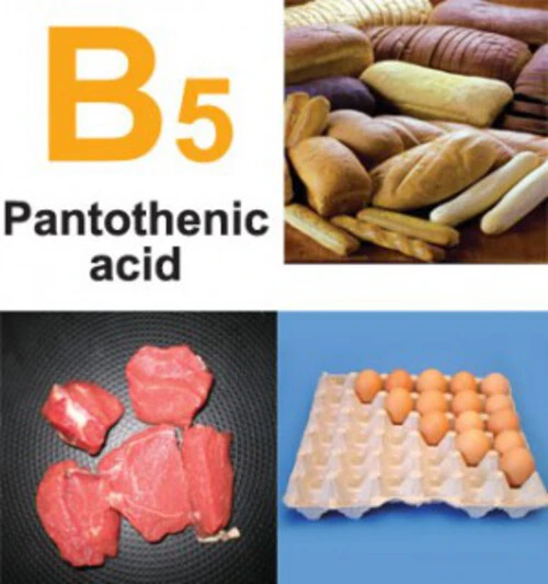 Vai trò của Vitamin B5