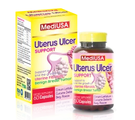 uterus-ulcer-support